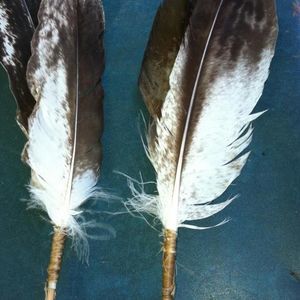 Meet your Posher, Nolan